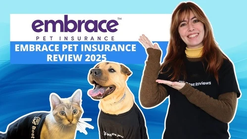 Happy dog protected by Kansas pet insurance